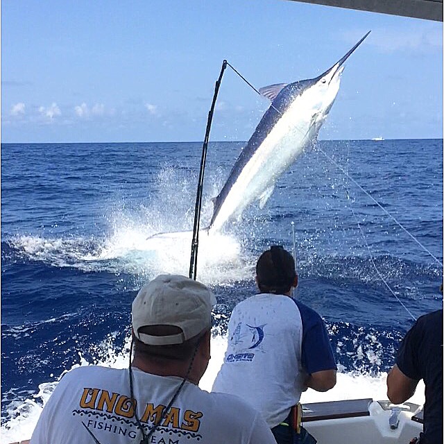 Fishing Fun & Family