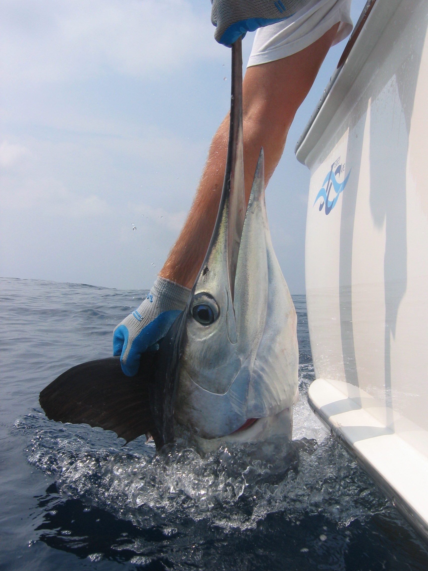 Fishing Fun & Family