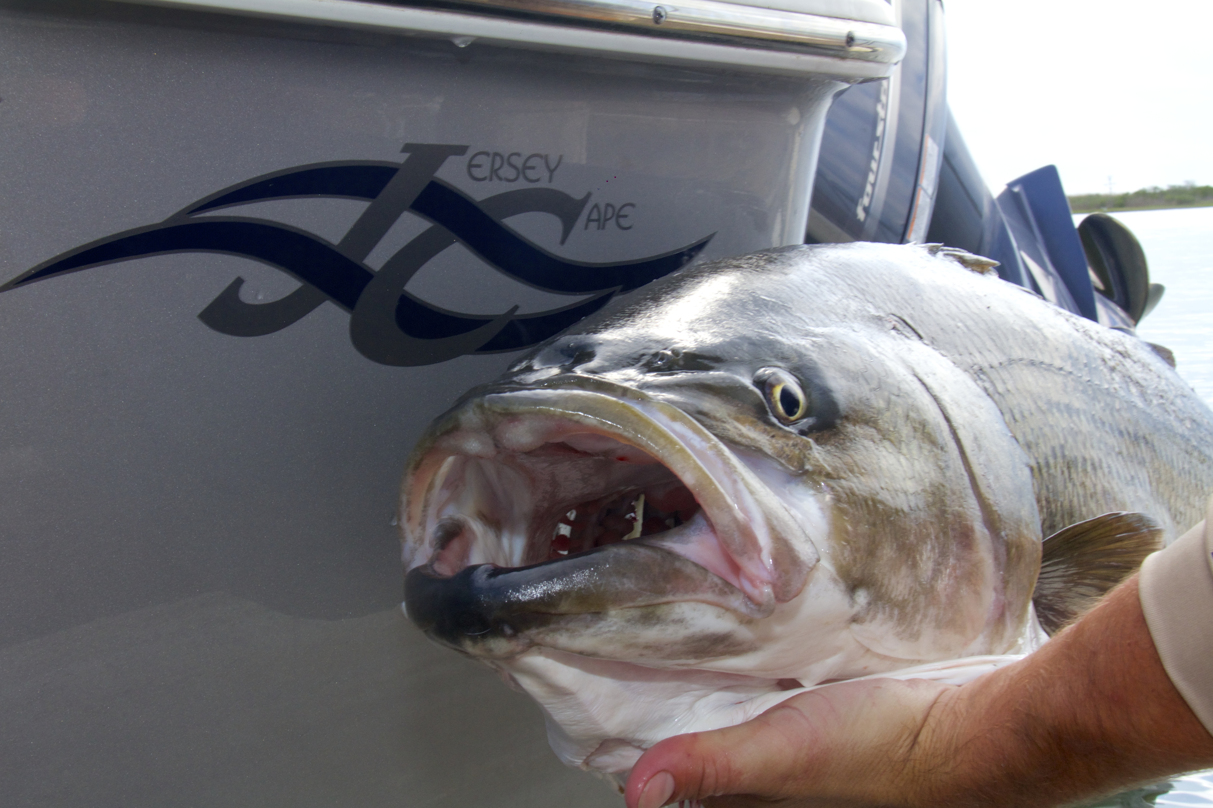 Fishing Fun & Family
