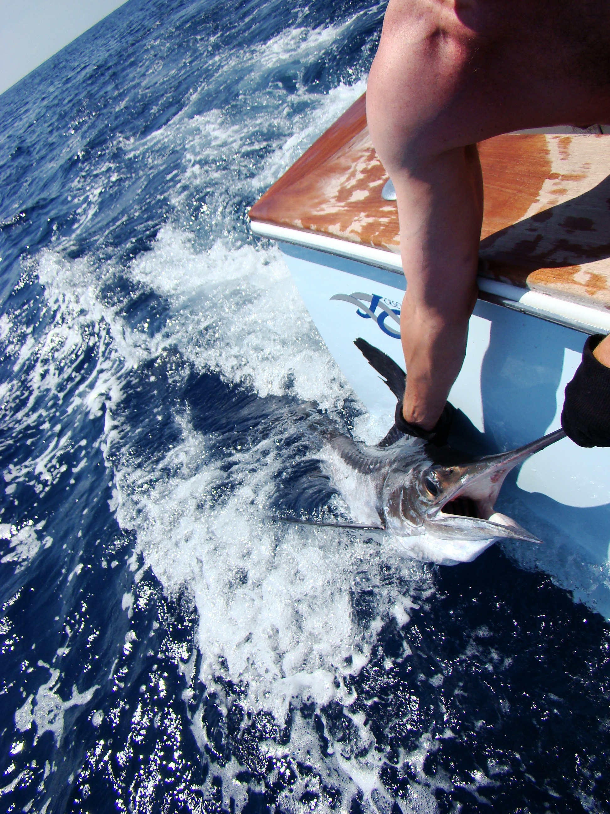 Fishing Fun & Family