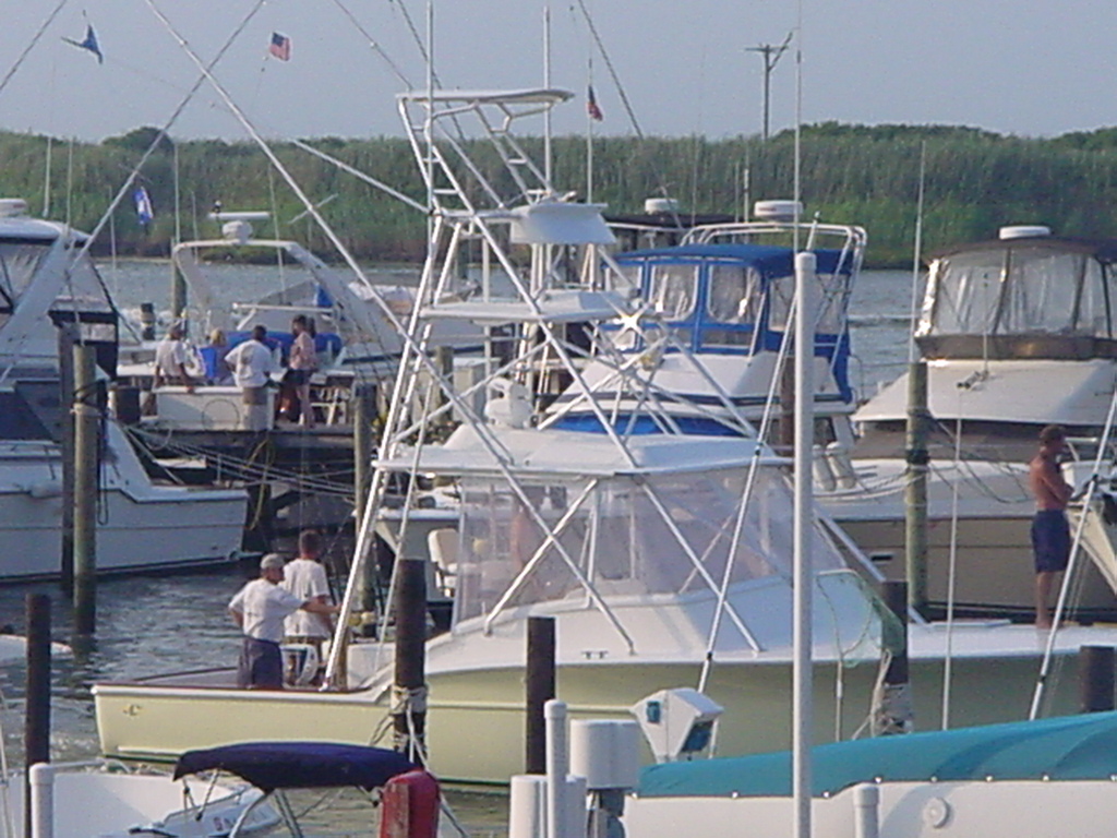 Fishing Fun & Family