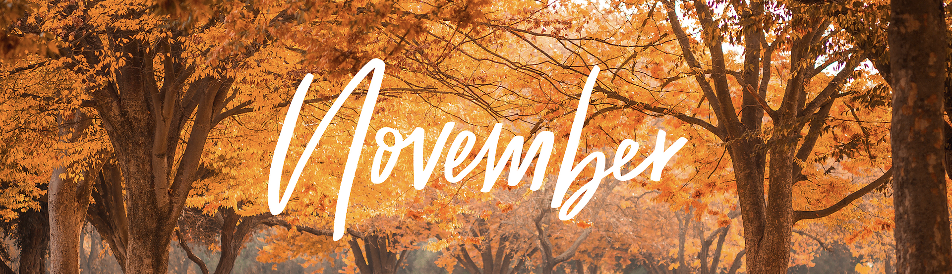 NOVEMBER CRYOGENIC & HIGH-PRESSURE EQUIPMENT INVENTORY IS HERE