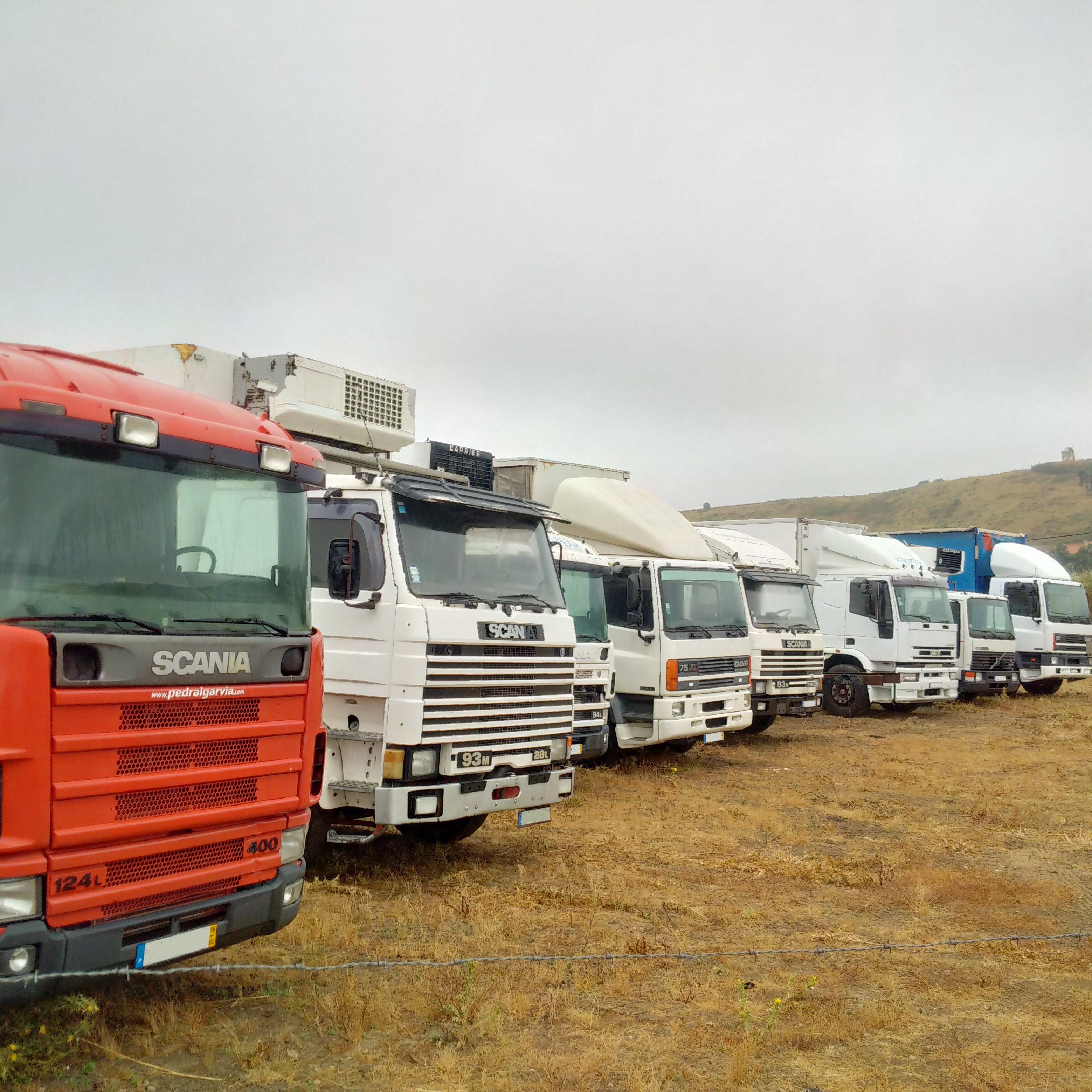 Britannia Export Consultants Ltd