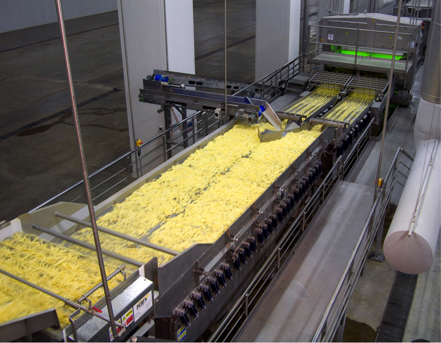 Comparing Optical and Non-Optical Sorters for Potato Processing