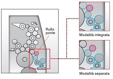 bagnatura790 (1).jpg