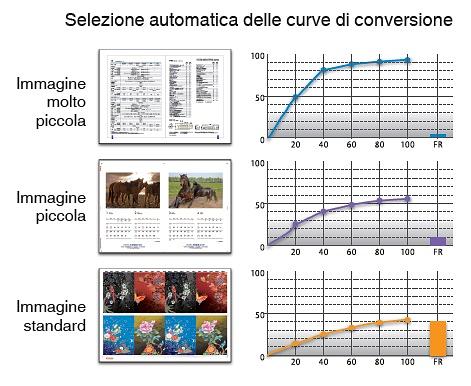 curveconversione (2).jpg