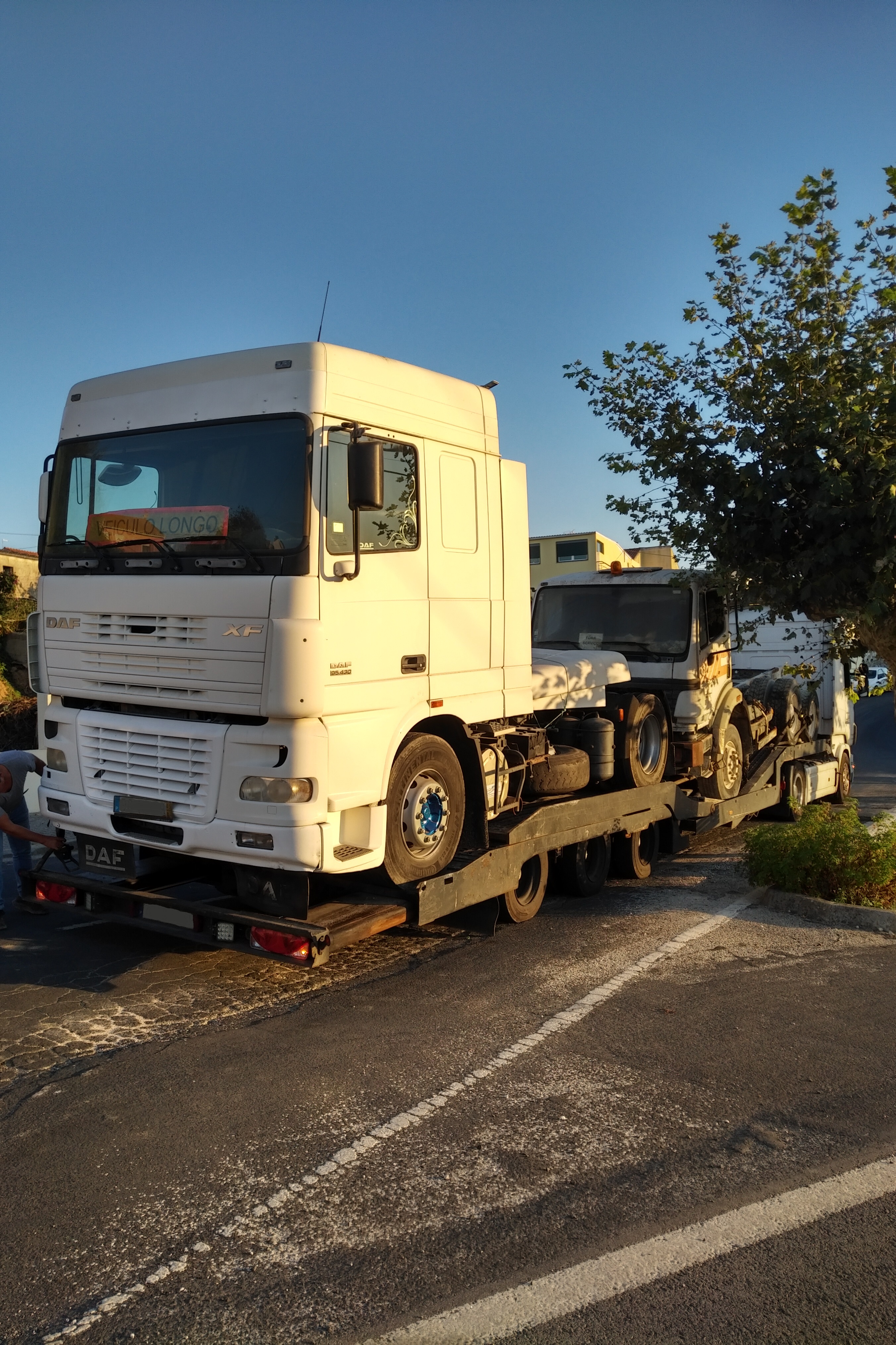 Transport & Delivery to The Netherlands.