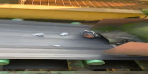 Video abspielen