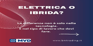 Riproduci video