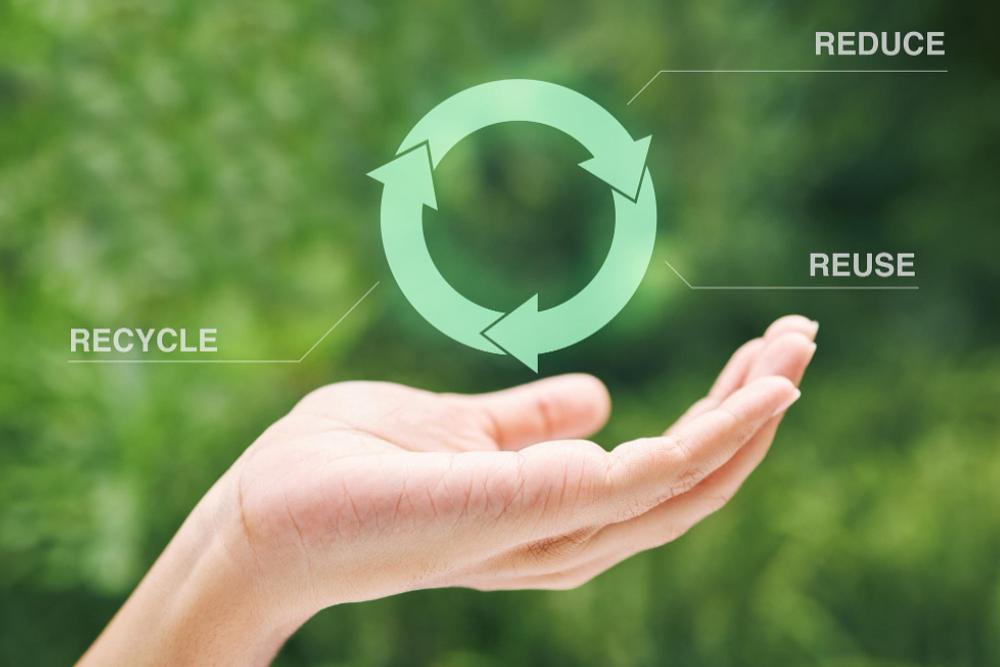 Smart Waste Reduction Strategies For Businesses