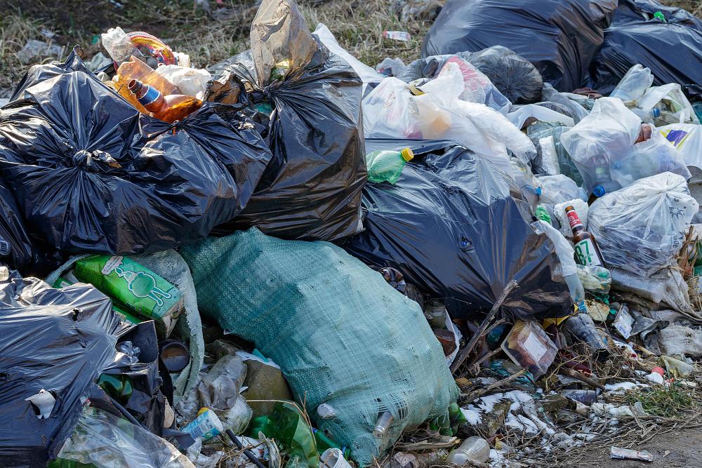 What Is Illegal Dumping In Waste Management?