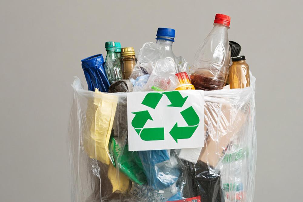What Can You Recycle? A Guide to Common Items