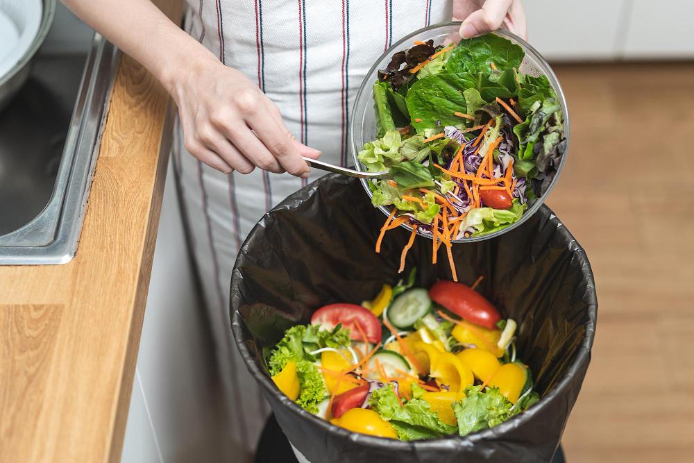 How To Manage Organic Waste For Maximum Recycling Impact