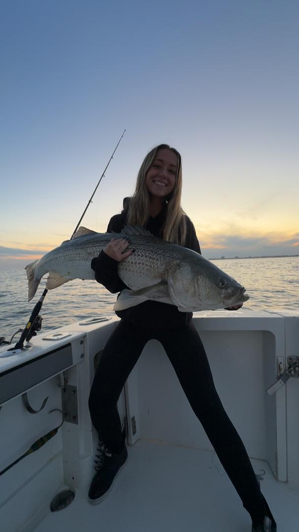 Shipping Where You Need It