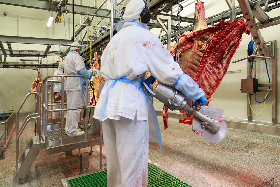 Deboning / Cutting for sale at VDZ trading B.V.