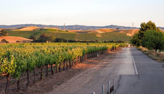 Livermore, CA Industrial Auctions