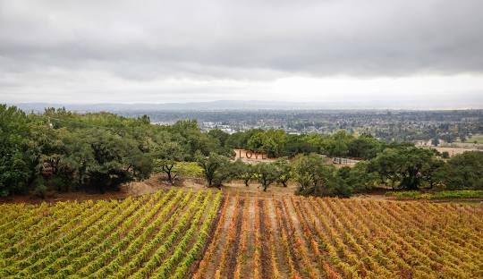 Santa Rosa, CA Industrial Auctions