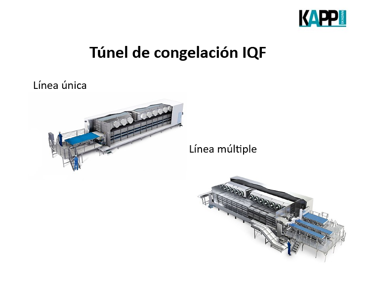 Calidad del producto congelado base de la competitividad de empresas avícolas