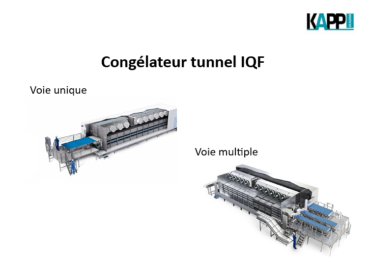 Qualité des produits congelés fondement de la compétitivité des entreprises avicoles