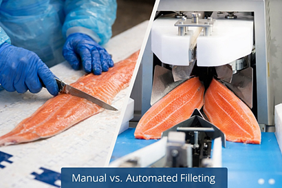 Automated Salmon Filleting – Why More Processing Plants Choose the Marel MS 2730