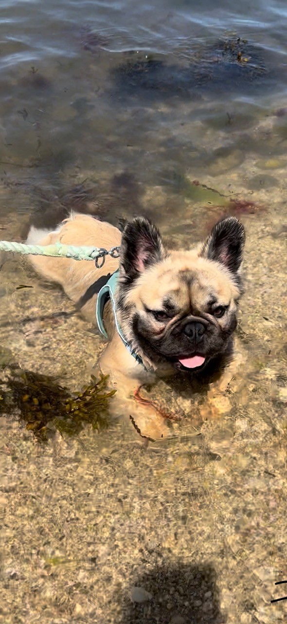 Cool Rides Only: Shuttle Buses That Pass the Winston Test