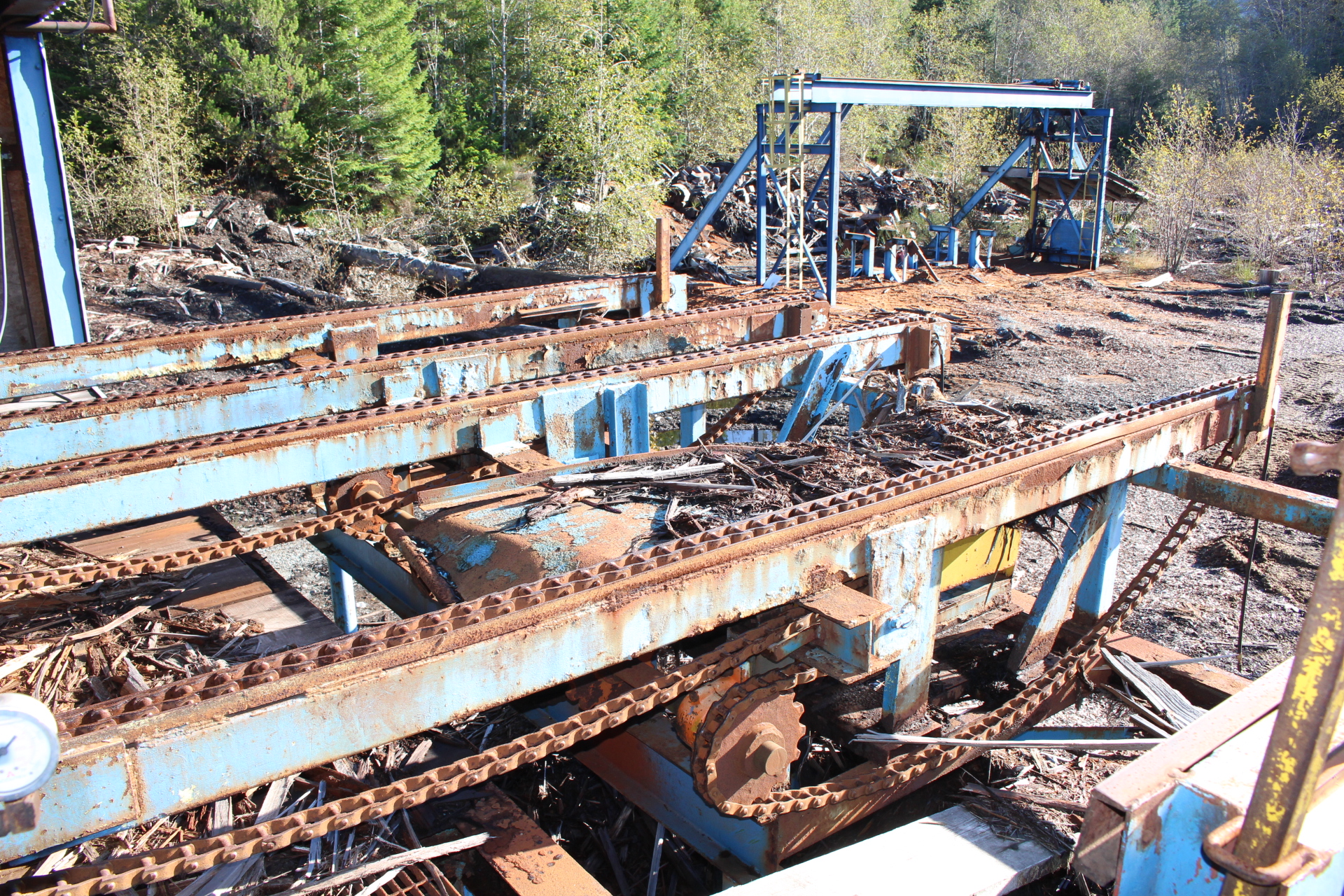 PAST AUCTION- B & L Forest Products Ltd- Gold River Sawmill 