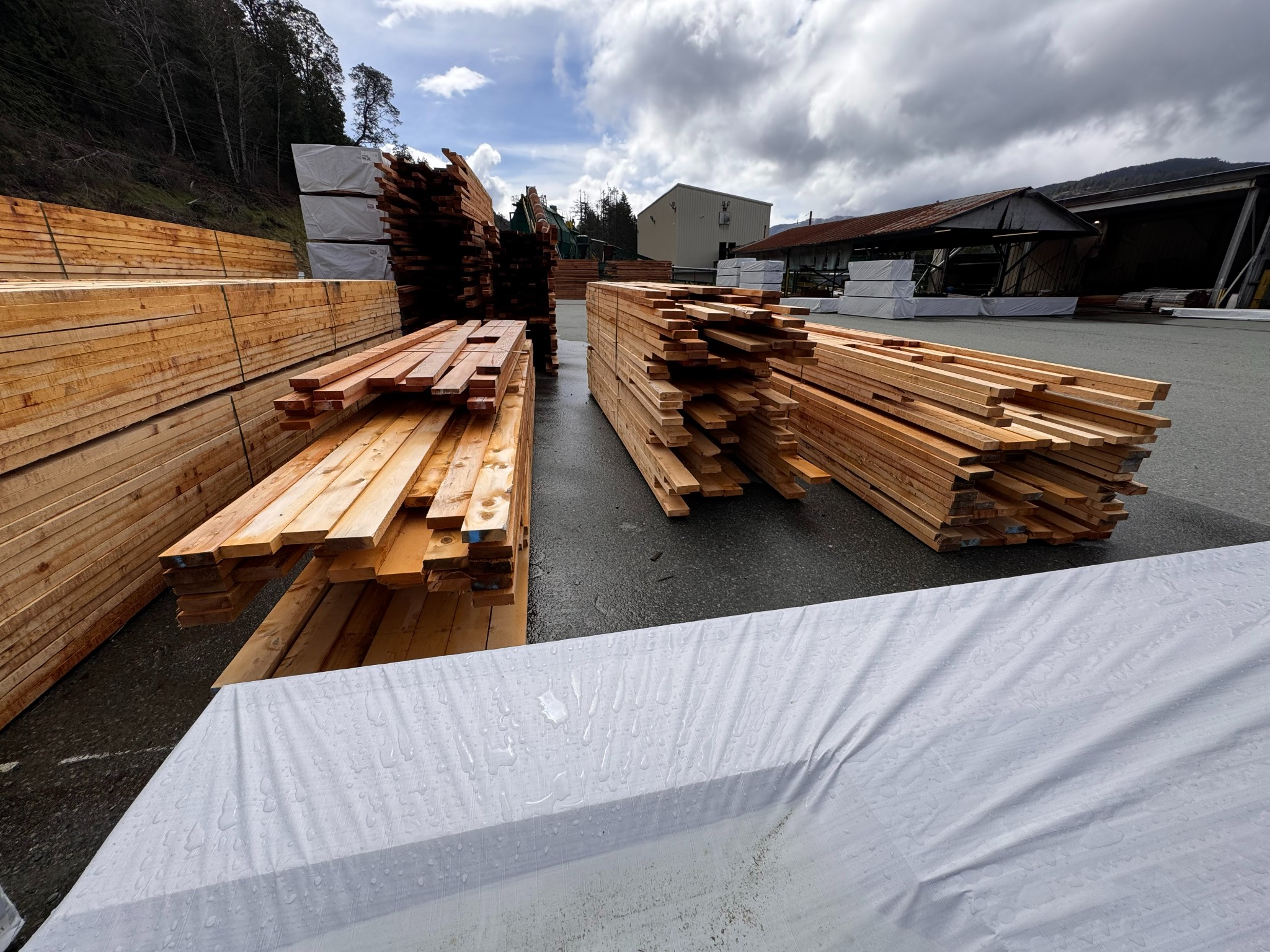 Lumber Liquidation- San Group