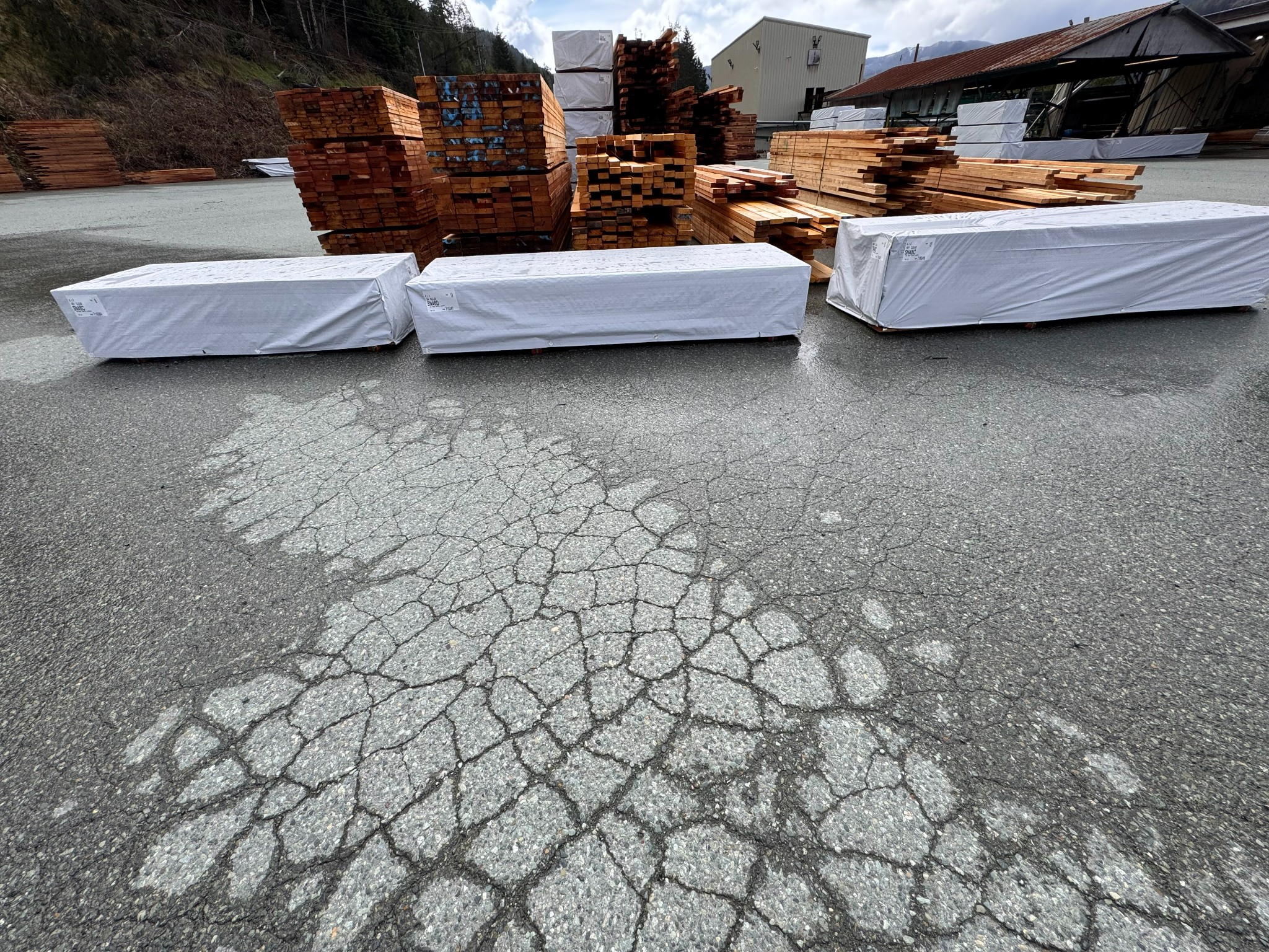 Lumber Liquidation- San Group