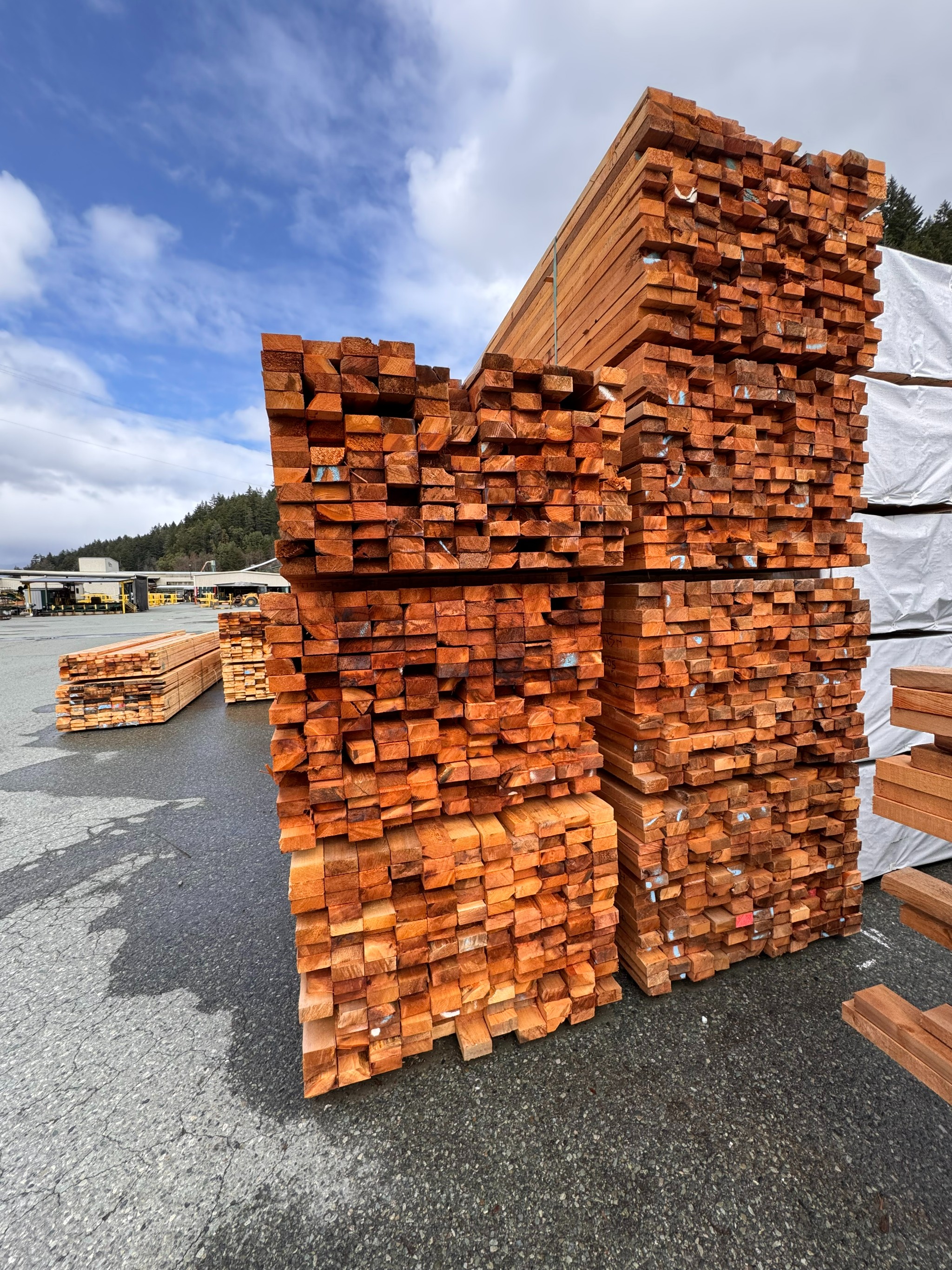 Lumber Liquidation- San Group