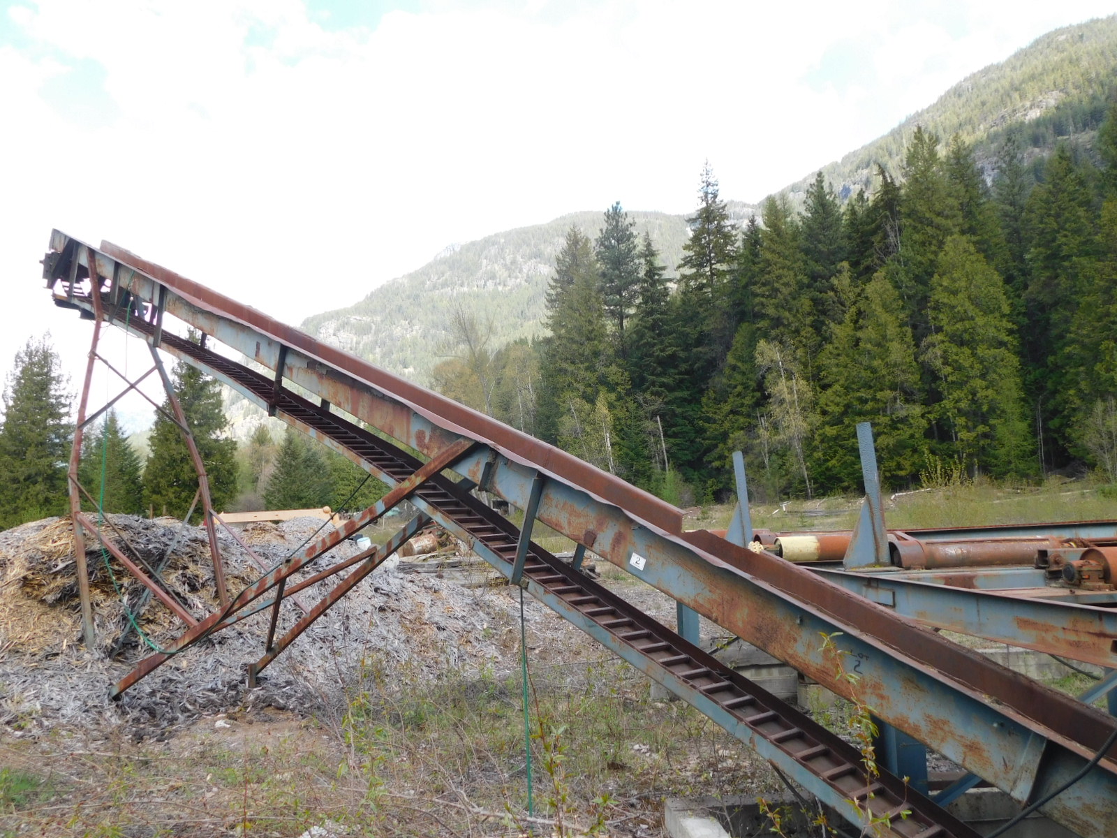 PAST Auction- Pole Peeling Mill, Log Lathe & Sawmill 