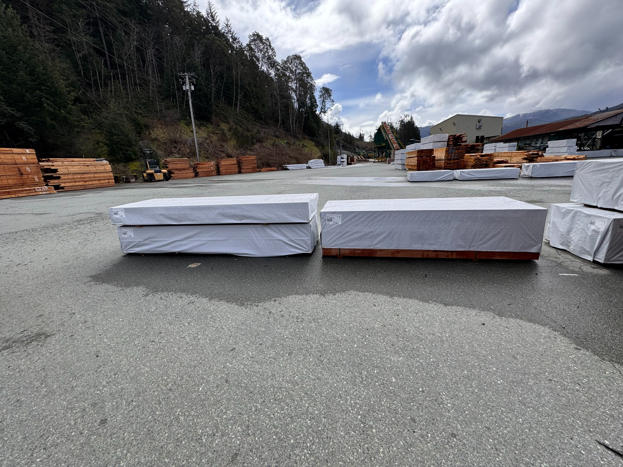 Lumber Liquidation- San Group