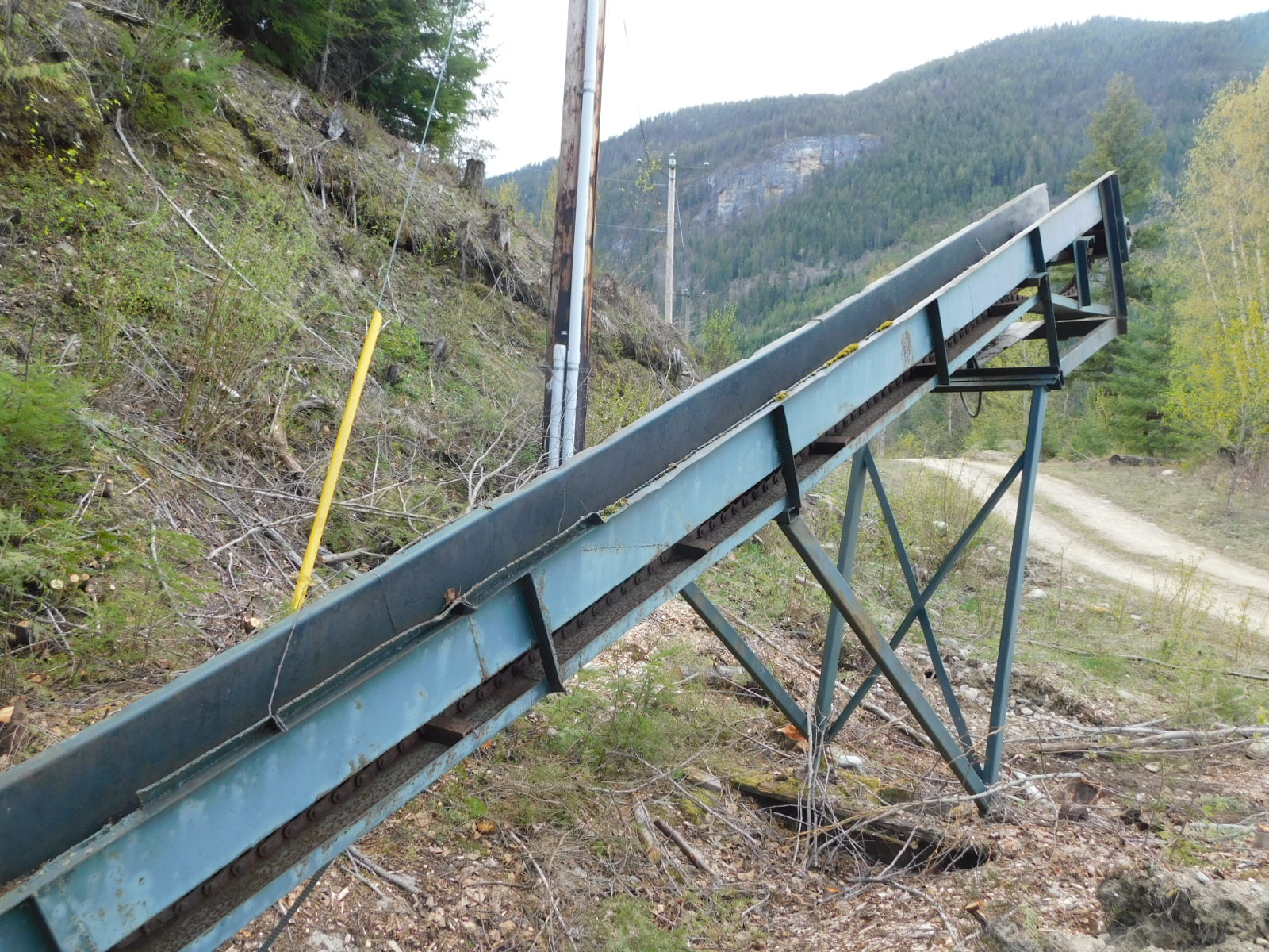 PAST Auction- Pole Peeling Mill, Log Lathe & Sawmill 