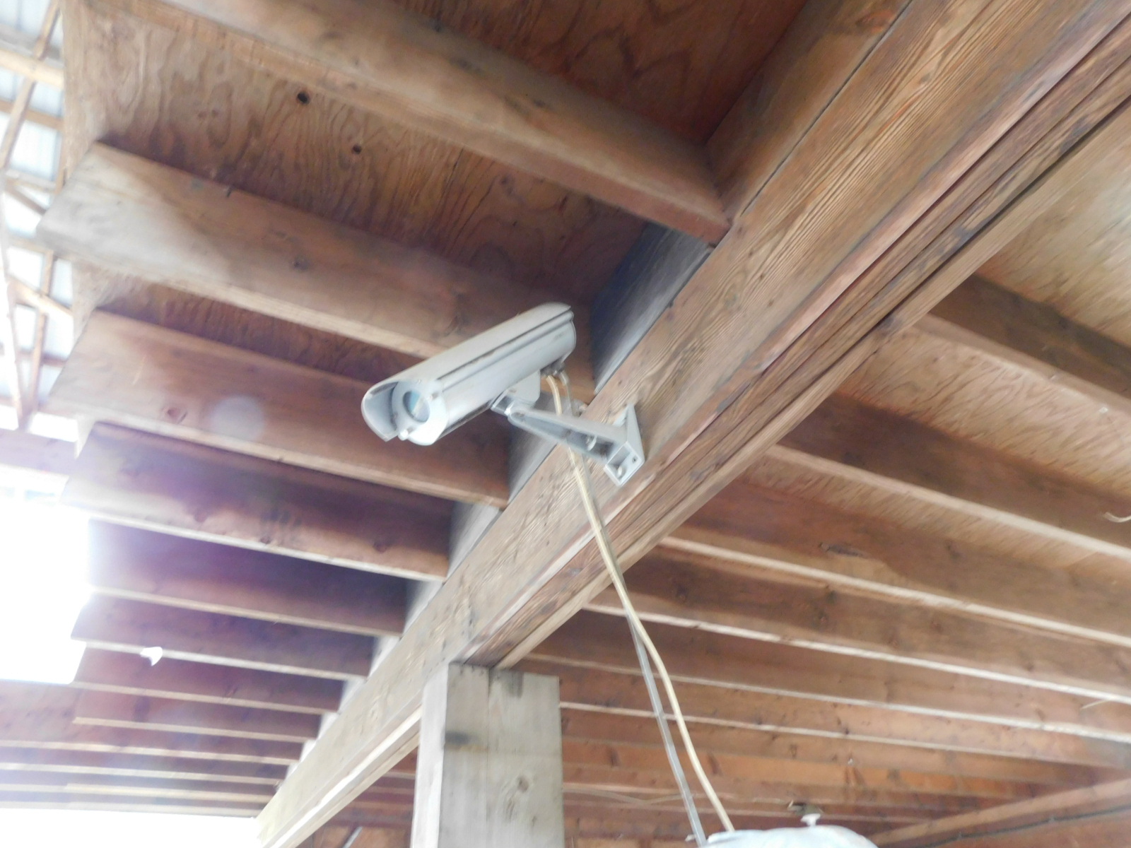 PAST Auction- Pole Peeling Mill, Log Lathe & Sawmill 