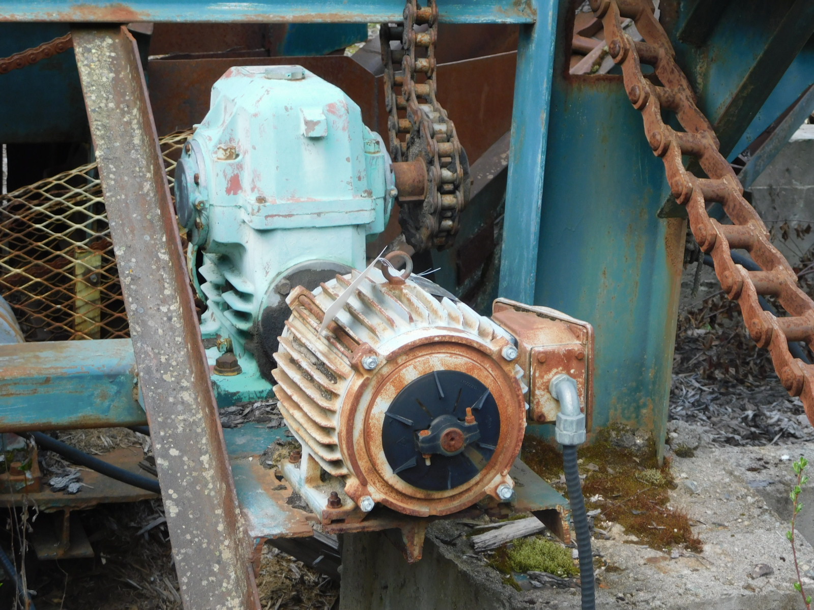 PAST Auction- Pole Peeling Mill, Log Lathe & Sawmill 