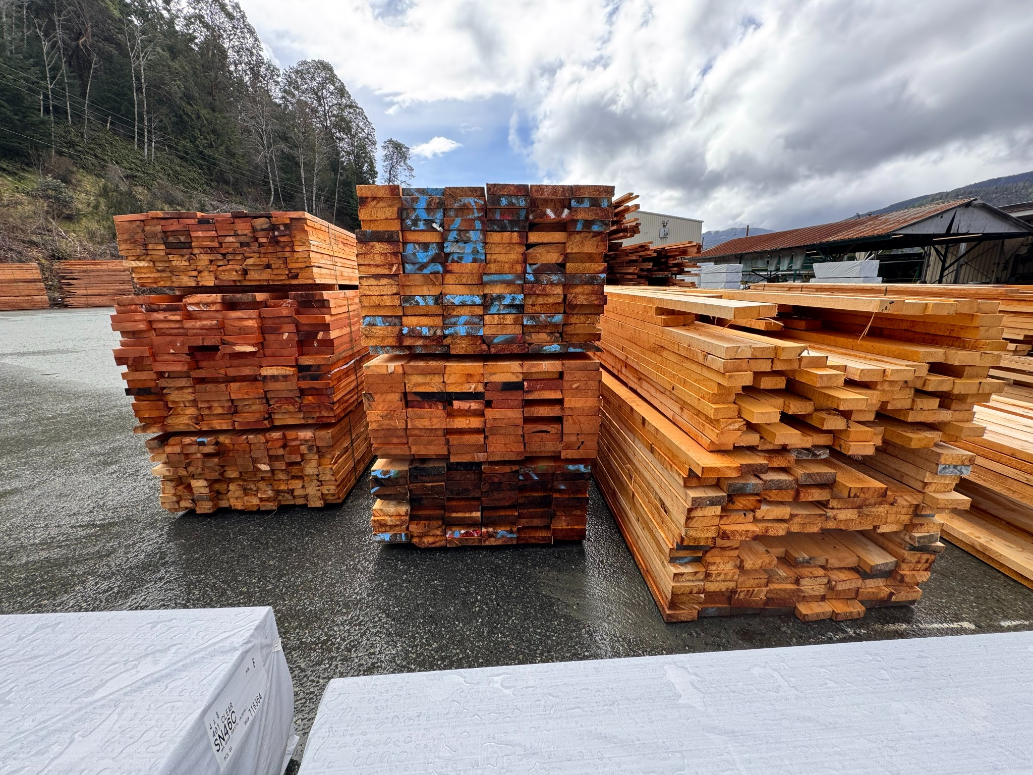 Lumber Liquidation- San Group