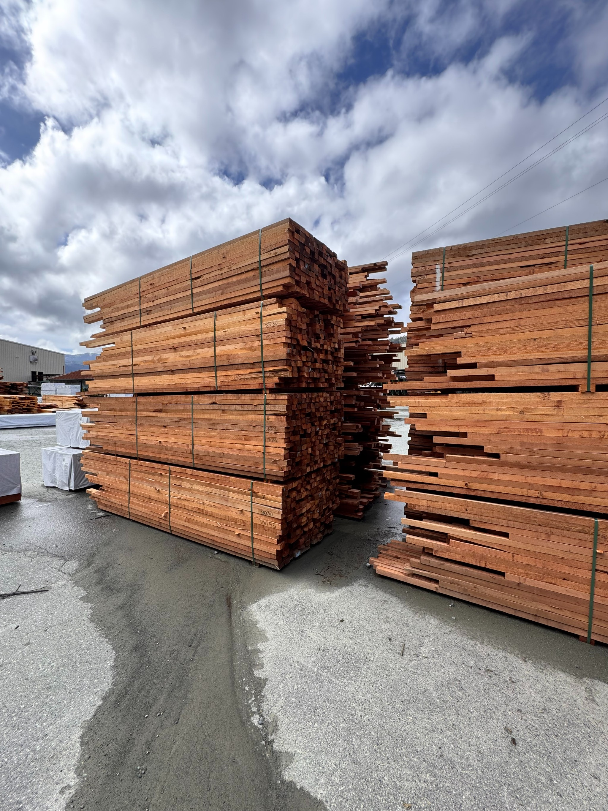 Lumber Liquidation- San Group