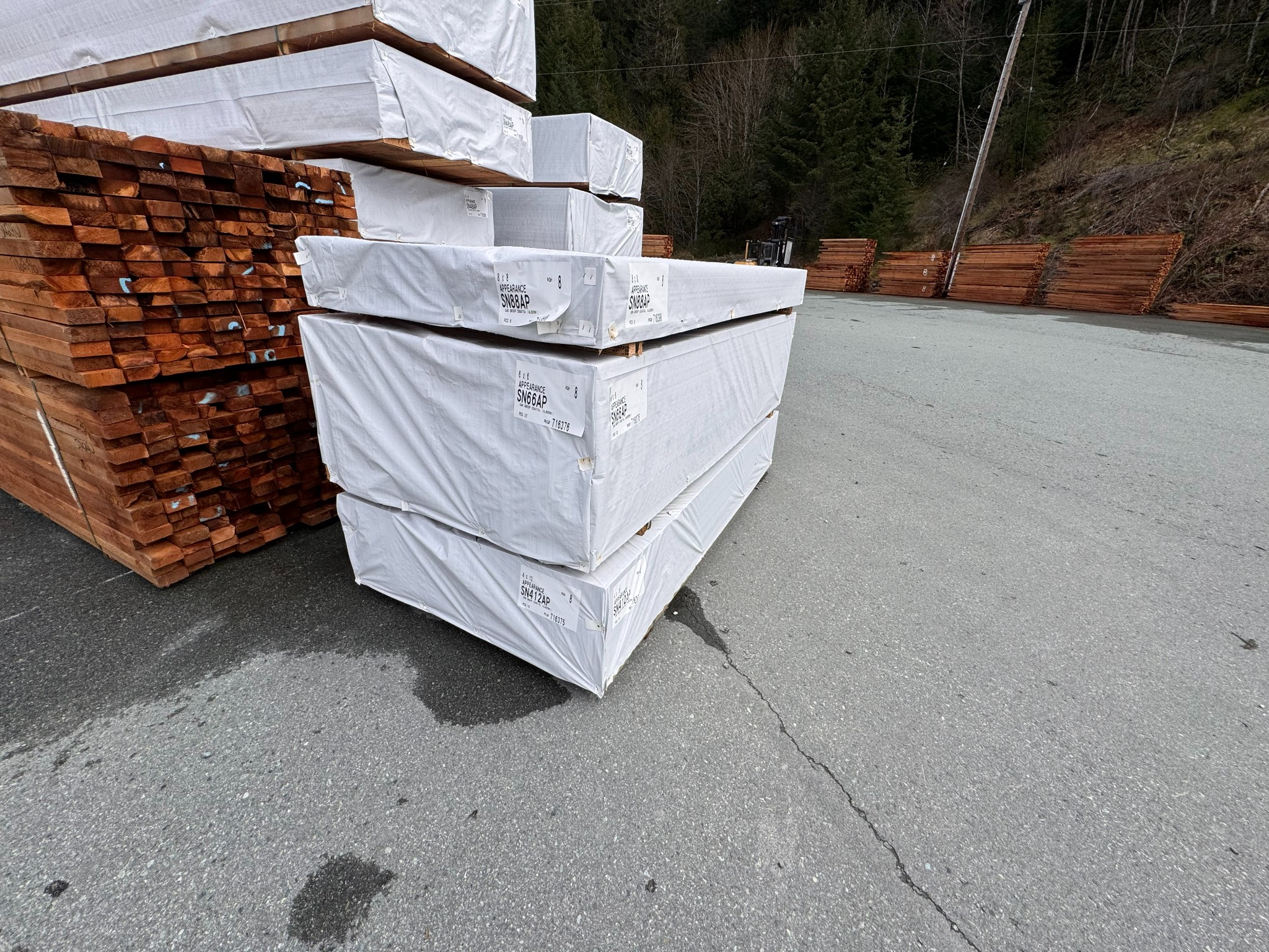 Lumber Liquidation- San Group