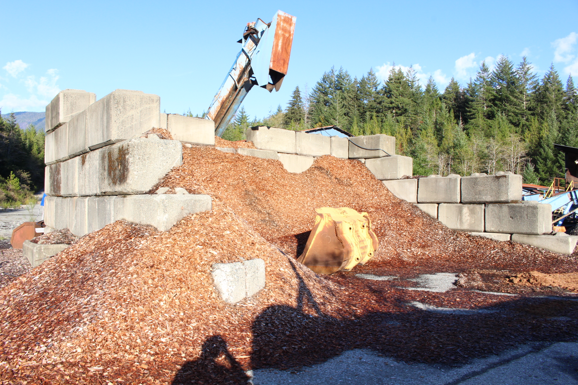 PAST AUCTION- B & L Forest Products Ltd- Gold River Sawmill 