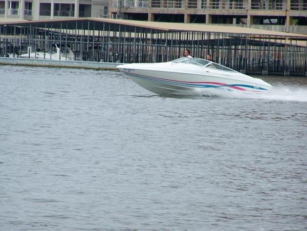 Gallery photo 48