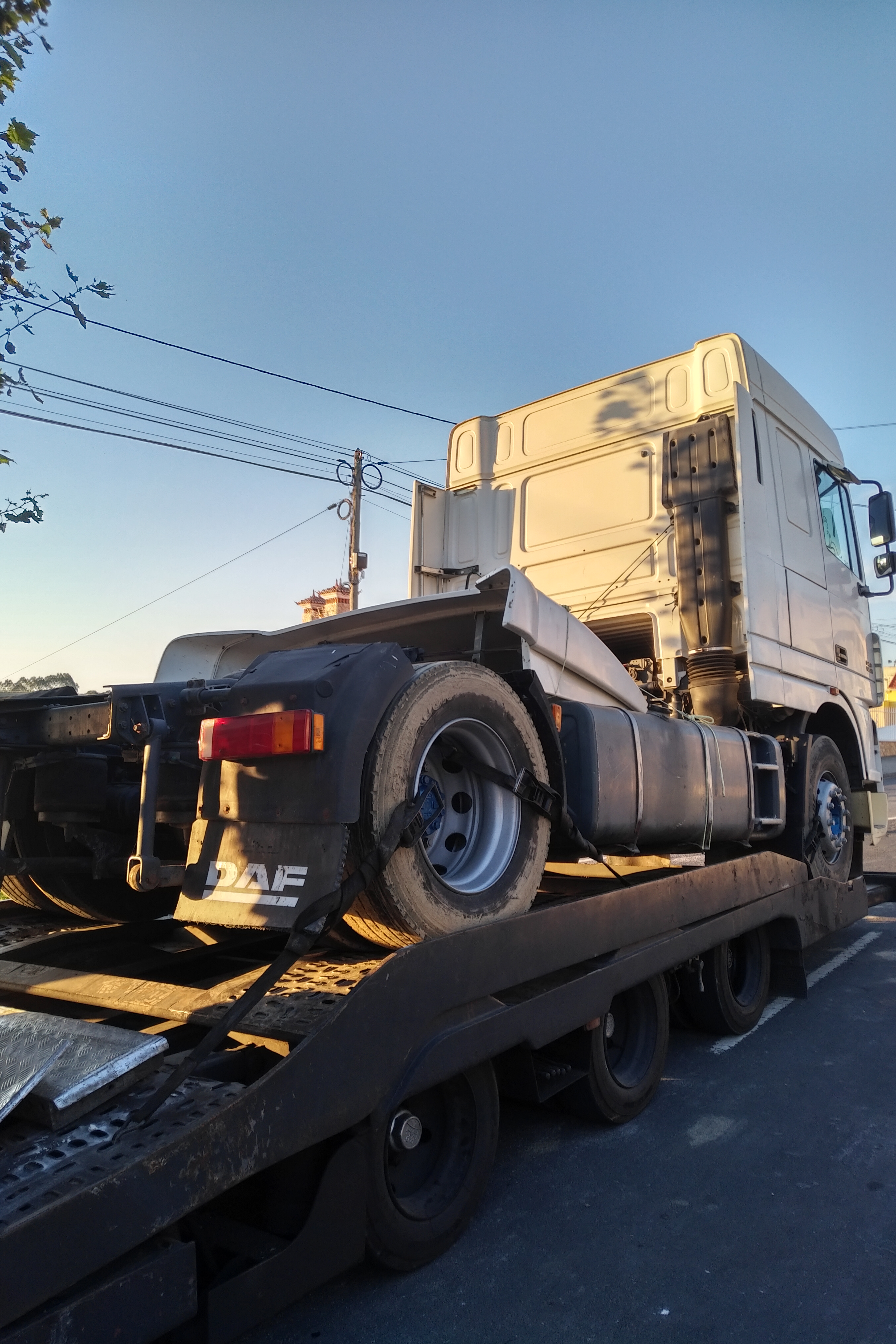 Transport & Delivery to The Netherlands.