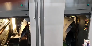 Přehrát video