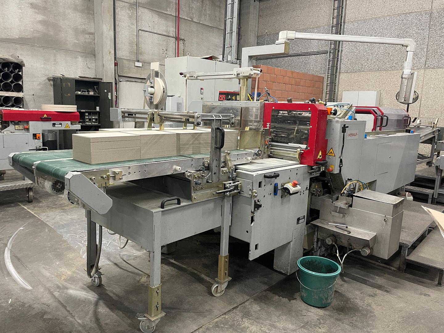 2007 - Horauf BDM Speed case maker with inline Solema Cartesio palletizer