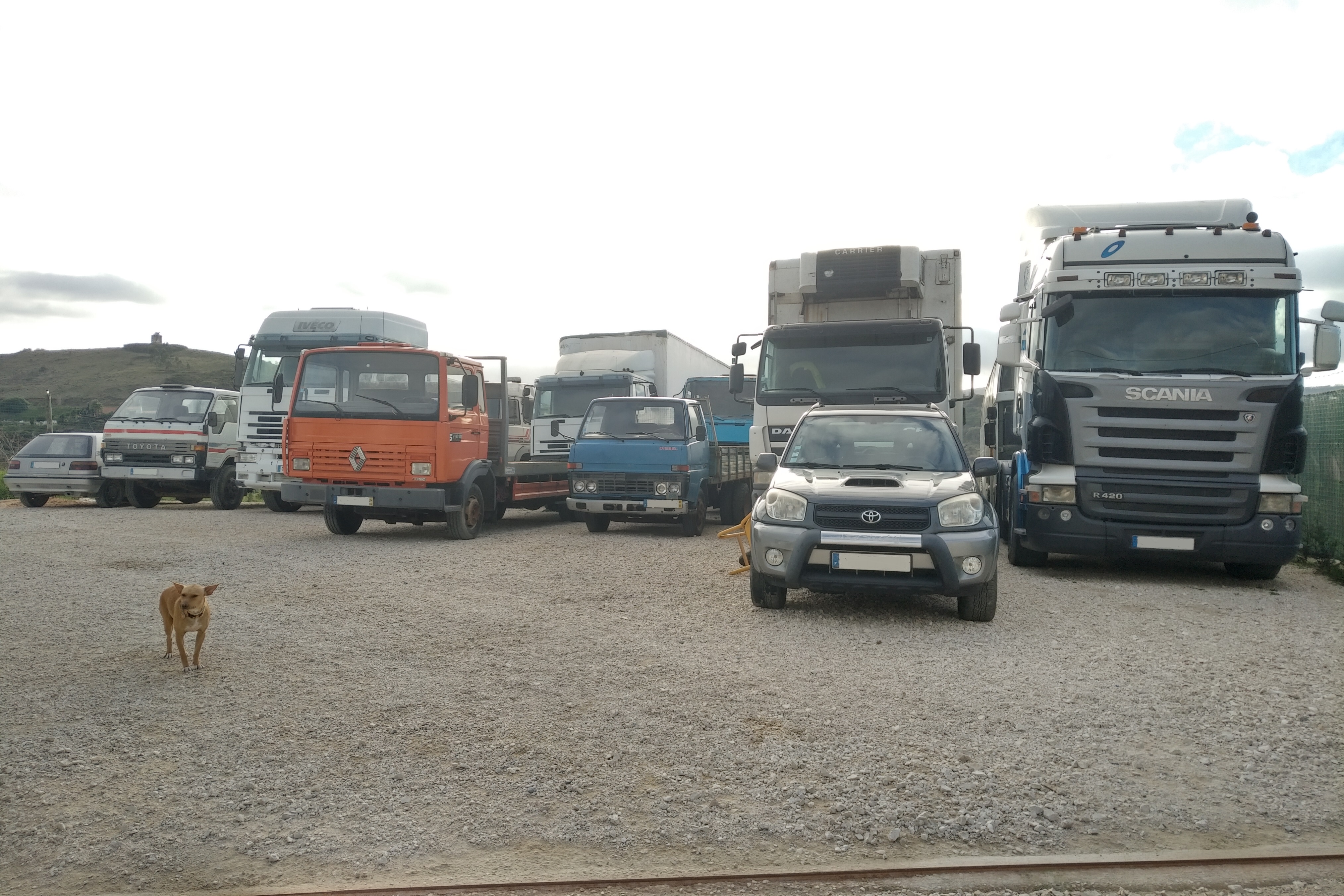 Left hand drive vehicles for export.