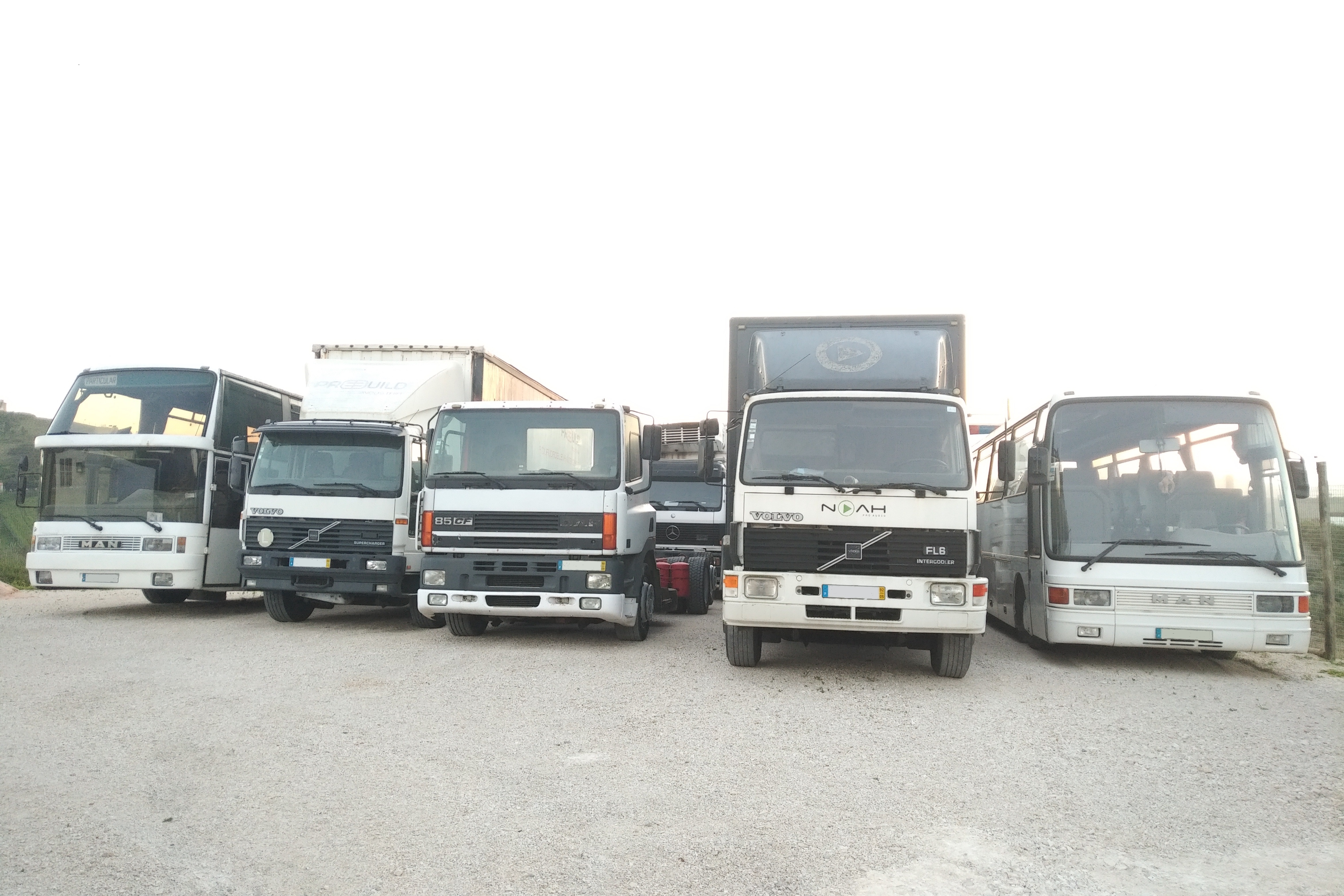 Left hand drive vehicles for export.