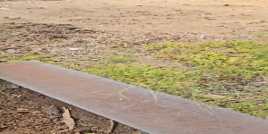 Play video