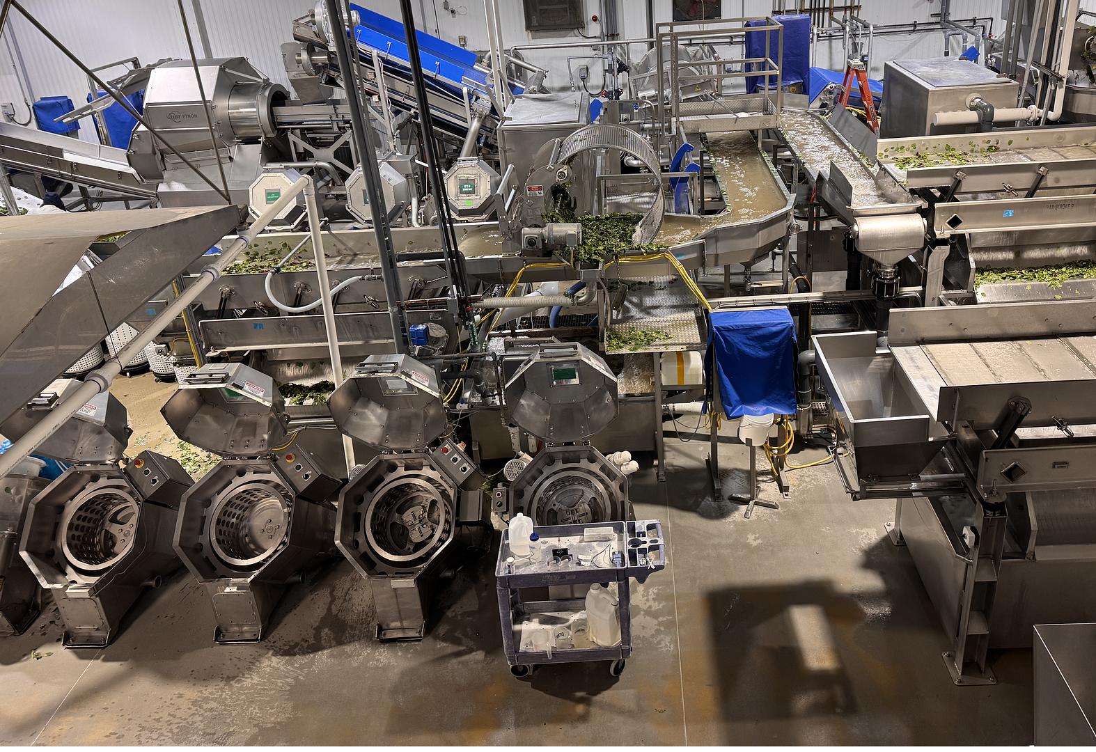 Fresh-Cut Produce Processing & Packaging Equipment Available for Immediate Purchase