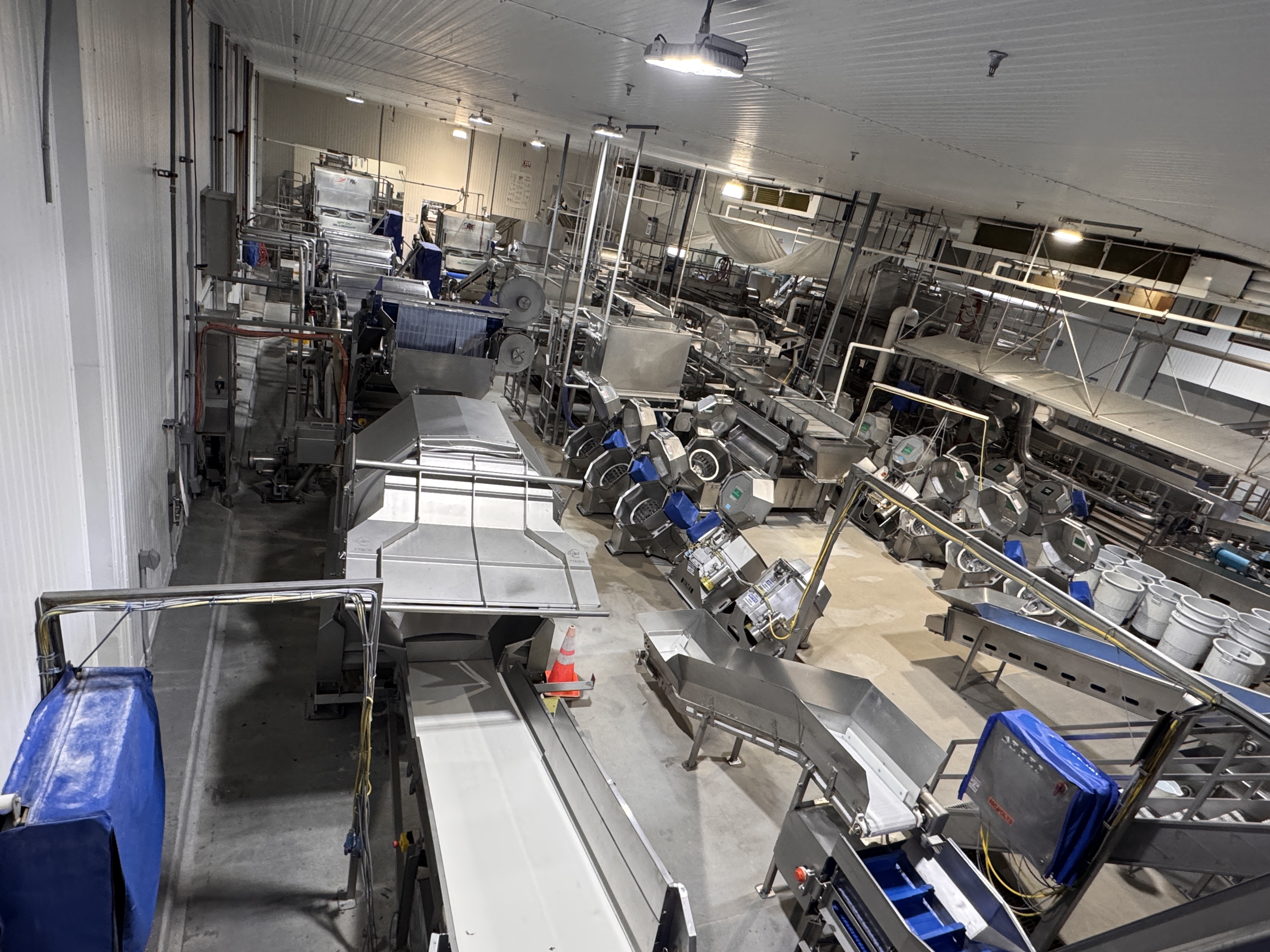 Fresh-Cut Produce Processing & Packaging Equipment Available for Immediate Purchase