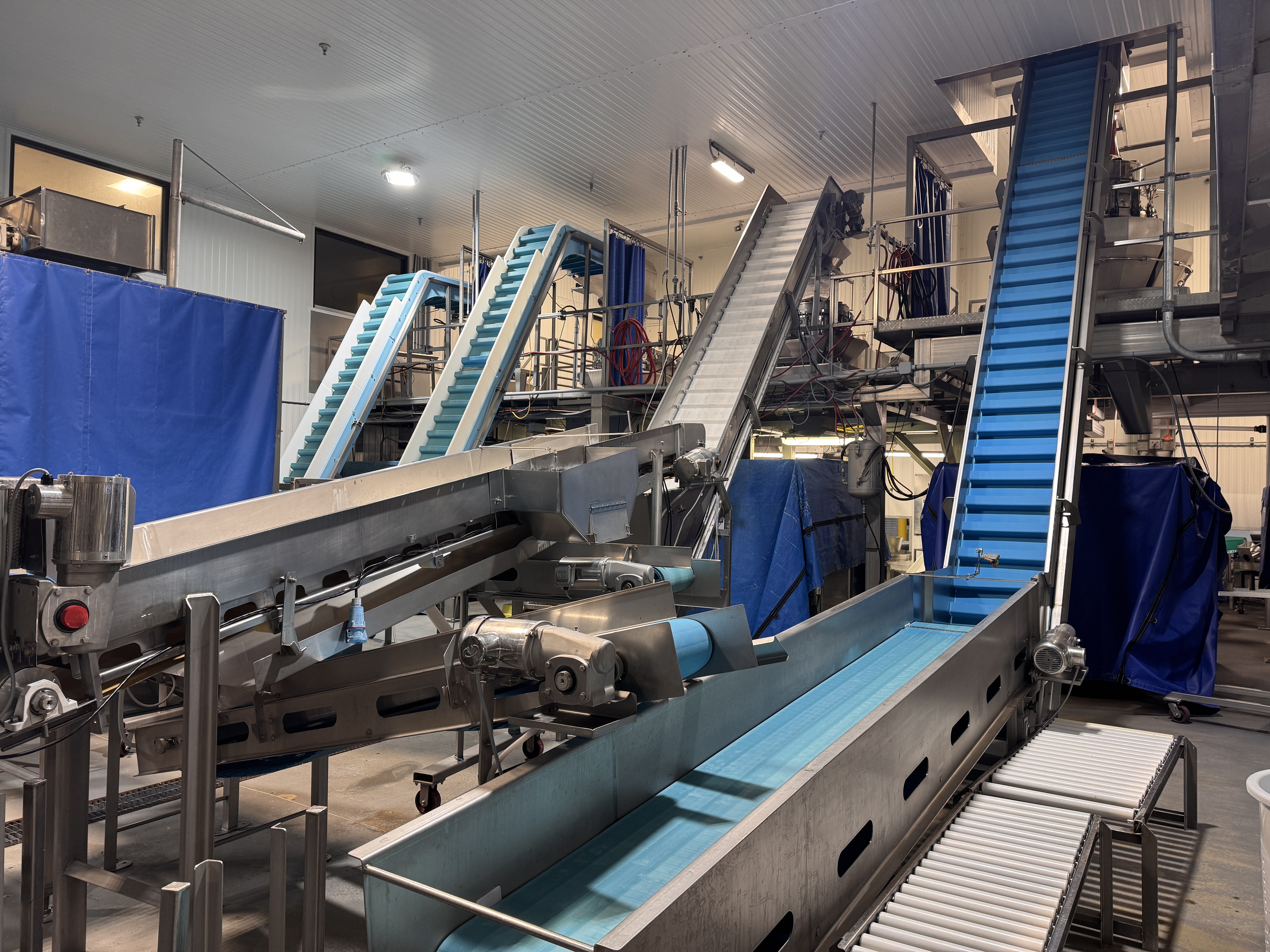 Fresh-Cut Produce Processing & Packaging Equipment Available for Immediate Purchase