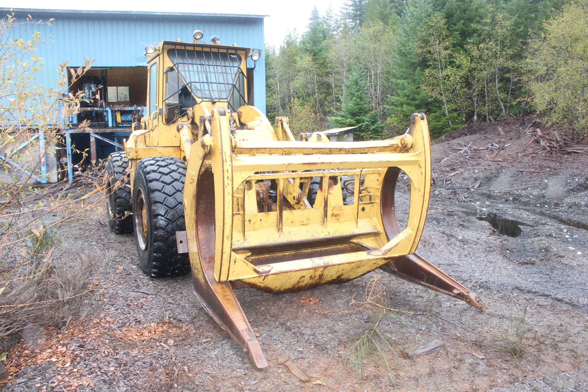 PAST AUCTION- B & L Forest Products Ltd- Gold River Sawmill 