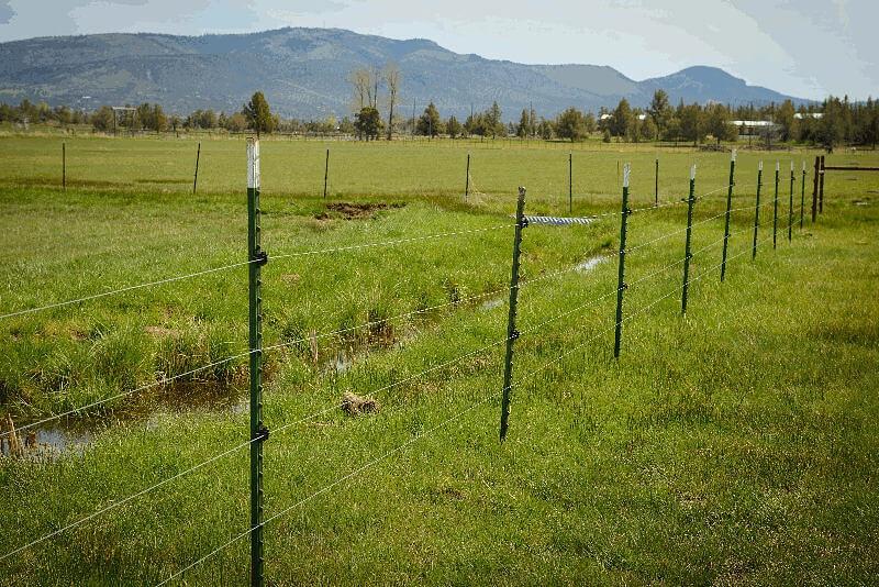 Building a fence? What to know before you begin.